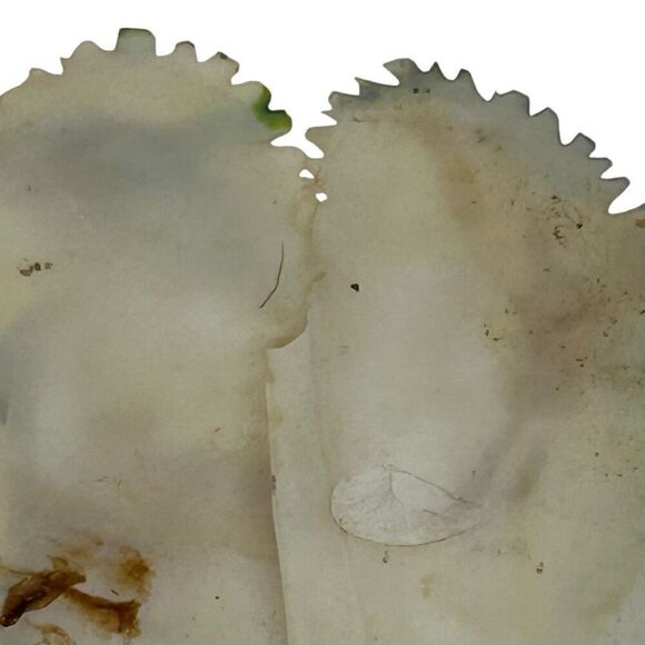 NWT Handcarved Tourist Mother Of Pearl Flamingo Deco Shell Art Multicolor Signed - Picture 9 of 14